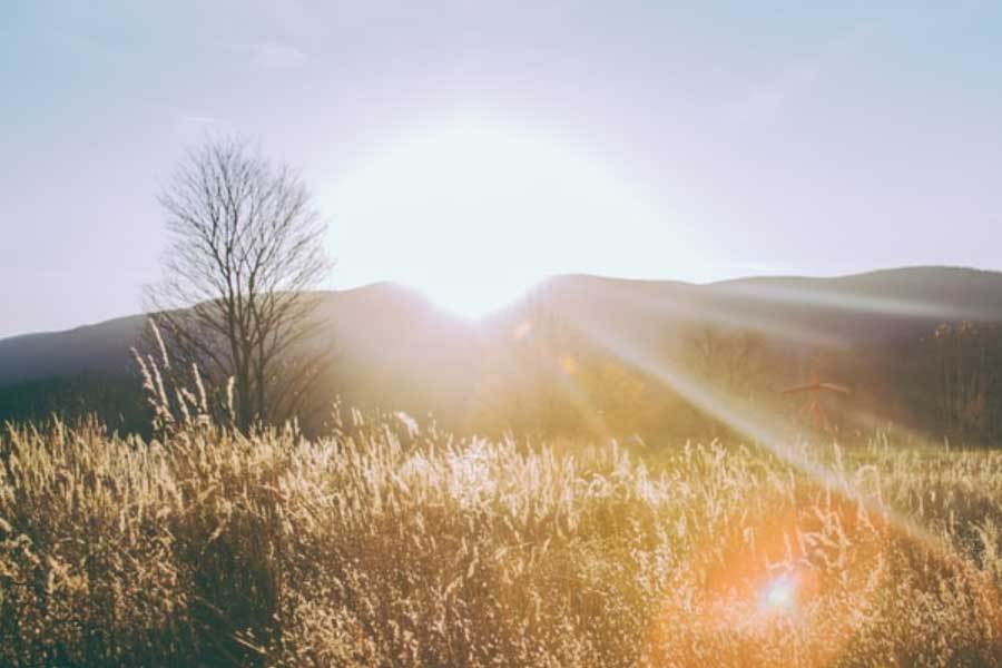 开元棋牌app下载-国际象棋锦标赛青年组